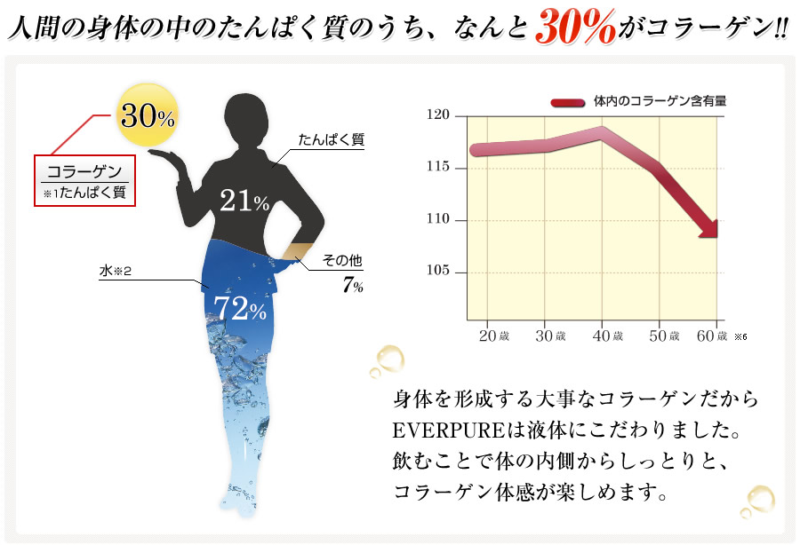 人間の体の中のタンパク質の内なんと30%がコラーゲン