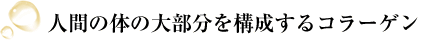 人間の体の大部分を構成するコラーゲン
